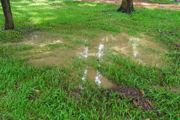 Cost of Storm Water Drainage Service in Lees Summit