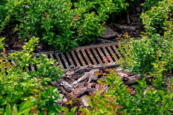 Cost of Underground Drainage Service in Lees Summit