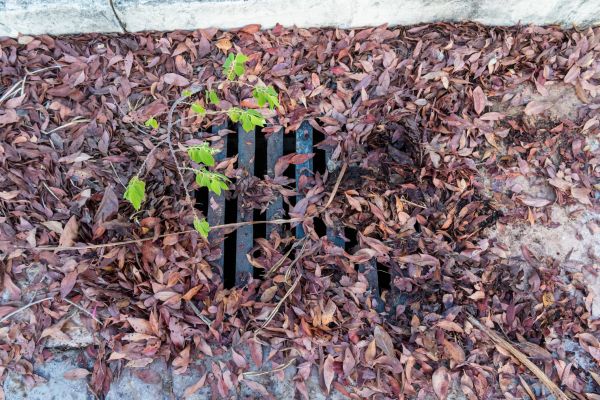 Cost of Yard Drain Unclogging in Lees Summit