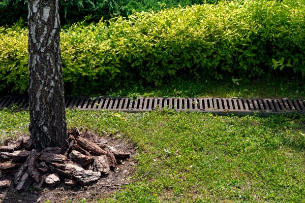 Cost of Wet Yard Drainage in Lees Summit