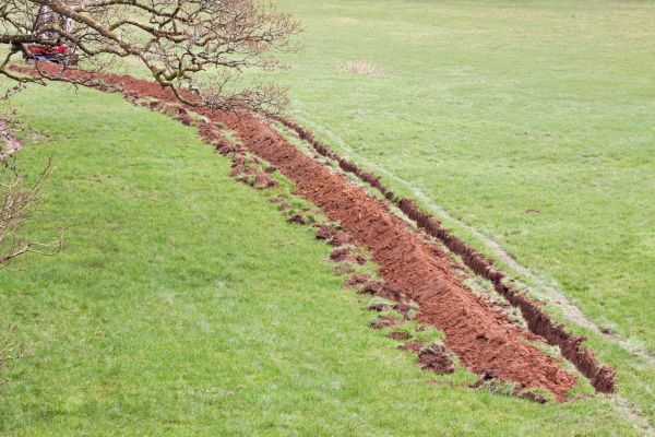 Cost of Swale Installation in Lees Summit