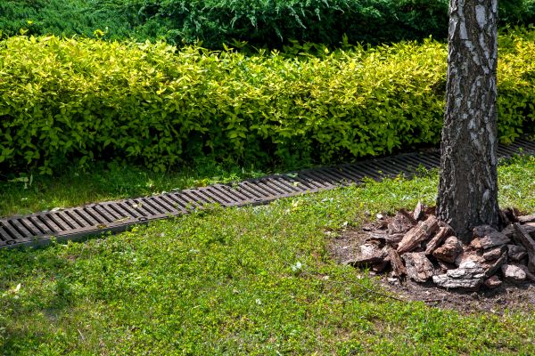 Cost of Residential Landscape Drainage in Lees Summit