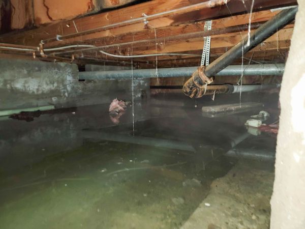 Cost of Crawlspace Drainage in Lees Summit