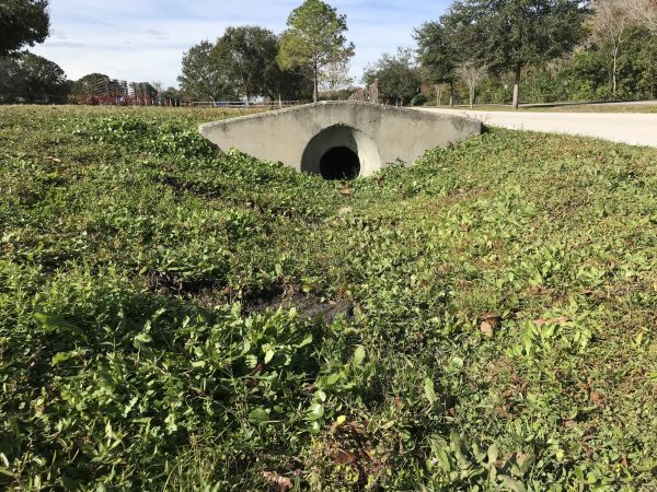 Cost of Swale Drainage Service in Lees Summit