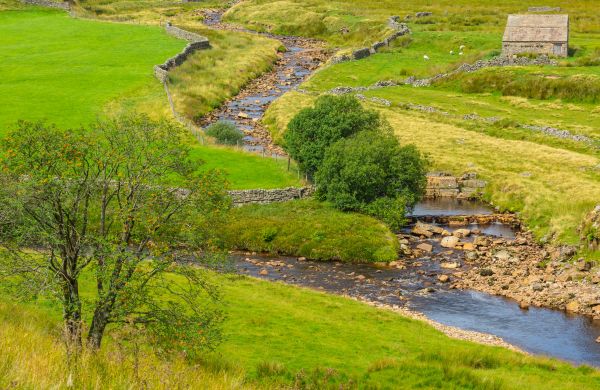 Cost of Swale Repair in Lees Summit